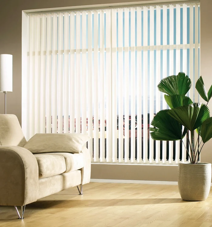 Vertical Window Blinds Design Consultation