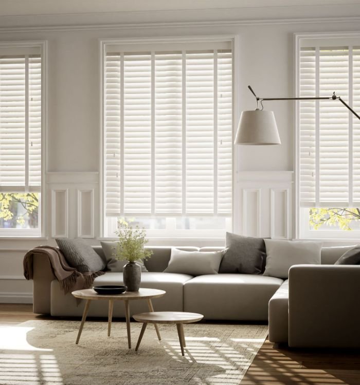 Vertical Window Blinds