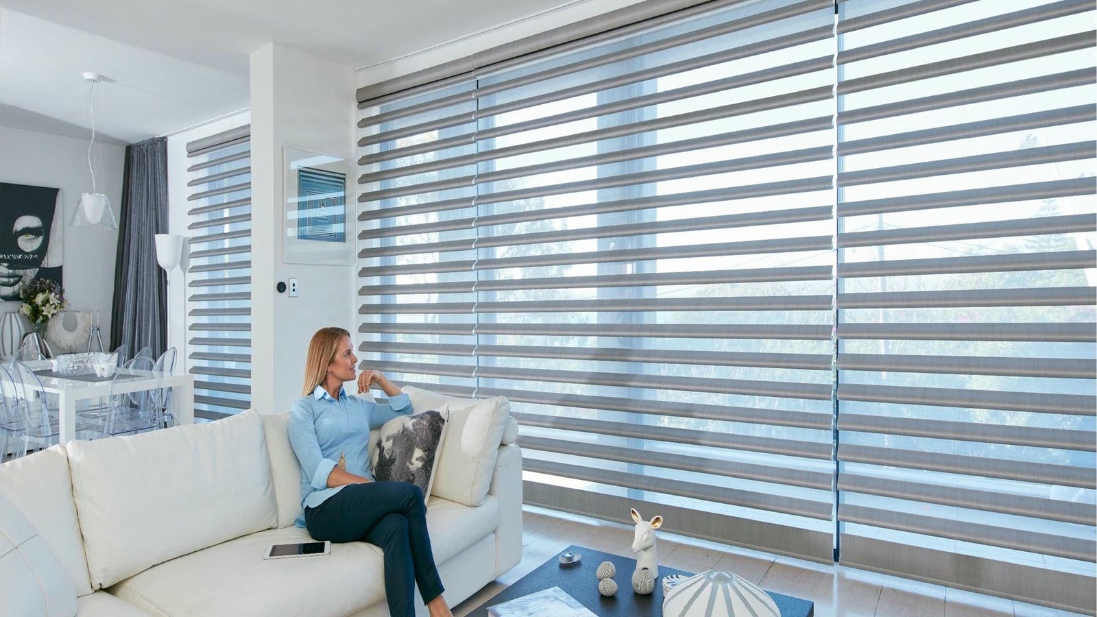 Versatile Collection Of UV Resistant Blinds