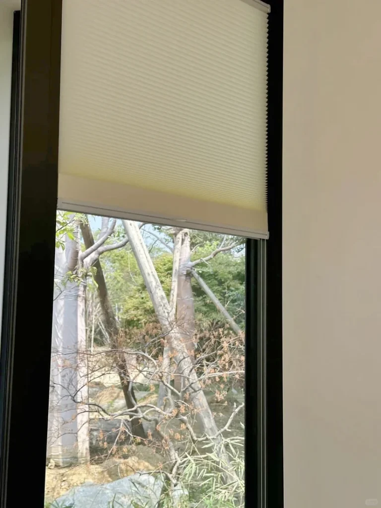 Glass Door Blinds