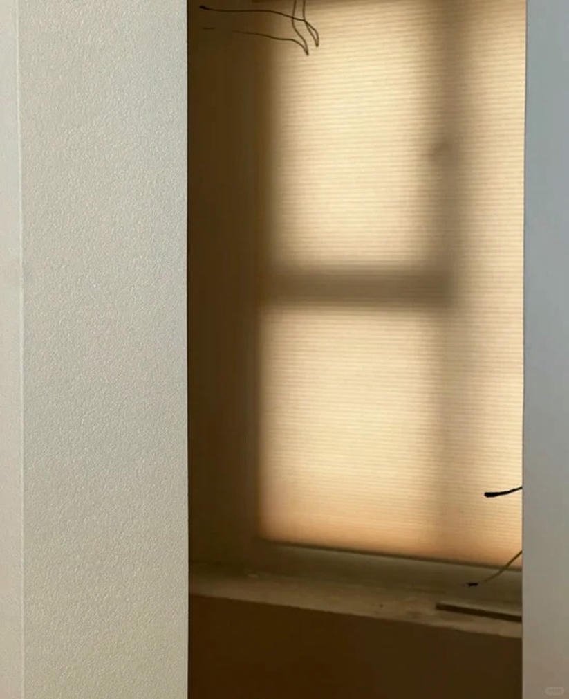 Premium Honeycomb Blinds