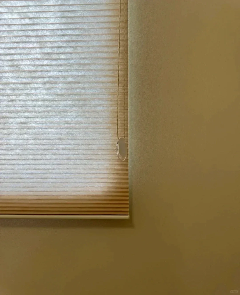 Premium Honeycomb Blinds